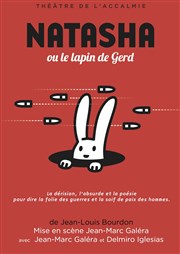 Natasha ou Le Lapin de Gerd Thtre Espace 44 Affiche