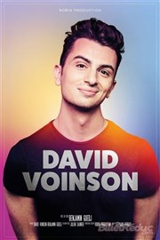 David Voinson Spotlight Affiche