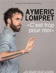 Aymeric Lompret dans C'est trop pour moi Thtre 100 Noms - Hangar  Bananes Affiche