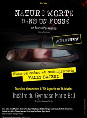 Nature morte dans un fossé Petit gymnase au Thatre du Gymnase Marie-Bell Affiche