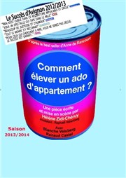 Comment élever un ado d'appartement ? Thtre des Beaux-Arts - Tabard Affiche