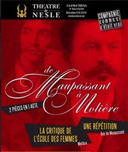 De Maupassant à Molière Thtre de Nesle - grande salle Affiche