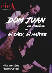 Dom Juan Grenier Thtre Affiche