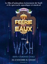 La Féerie des Eaux et Wish Le Grand Rex Affiche