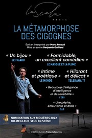 La métamorphose des cigognes La Piccola Scala Affiche