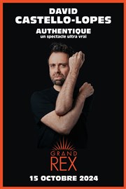 David Castello-Lopes dans Authentique Le Grand Rex Affiche