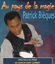 Patrick Bièques dans Au pays de la magie Cin-Thtre Chaplin Affiche