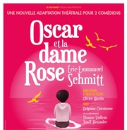 Oscar et la dame rose Les 3 soleils Affiche