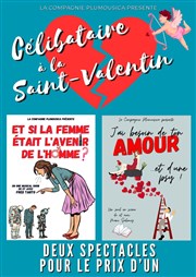 Célibataire à la Saint-Valentin Ferme Dupire Affiche