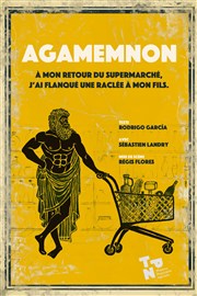 Agamemnon, à mon retour du supermarché j'ai flanqué une raclée à mon fils Theatre de la rue de Belleville Affiche