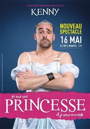 Princesse TNT - Terrain Neutre Thtre Affiche