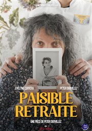 Paisible retraite Thtre  l'Ouest Caen Affiche