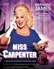 Miss Carpenter | avec Marianne James Salle Rameau Affiche