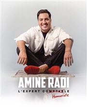 Amine Radi dans L'Expert Humoriste La Nouvelle comdie Affiche