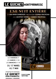 Une Nuit Entière Guichet Montparnasse Affiche