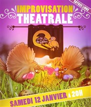 Cabaret d'improvisation : Le Cabacailles Le Kibl Affiche