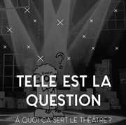 Telle est la question Le Nid de Poule Affiche