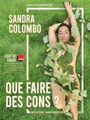 Sandra Colombo dans Que faire des cons ? La Coupole Affiche