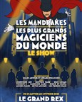 Les Mandrakes, le show