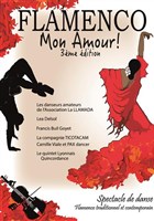 Flamenco mon amour 3