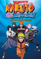 Naruto Shippuden Symphonic Experience