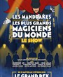 Les Mandrakes, le show