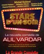 Stars d'un soir - Une comdie d'Alil Vardar avec Michel Guidoni