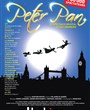 Peter Pan, le spectacle musical